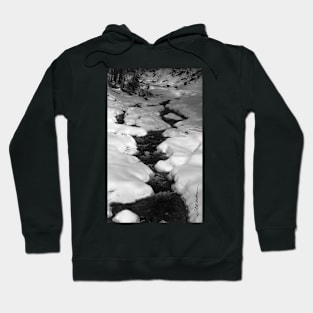 Chateauguay Stream Hoodie